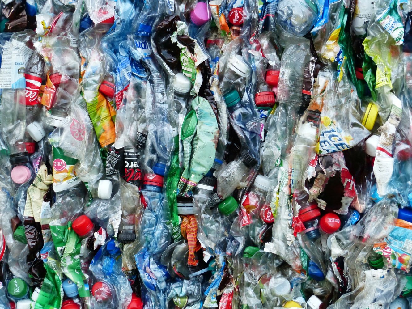 Going Green (Antz): Where can our plastics go?