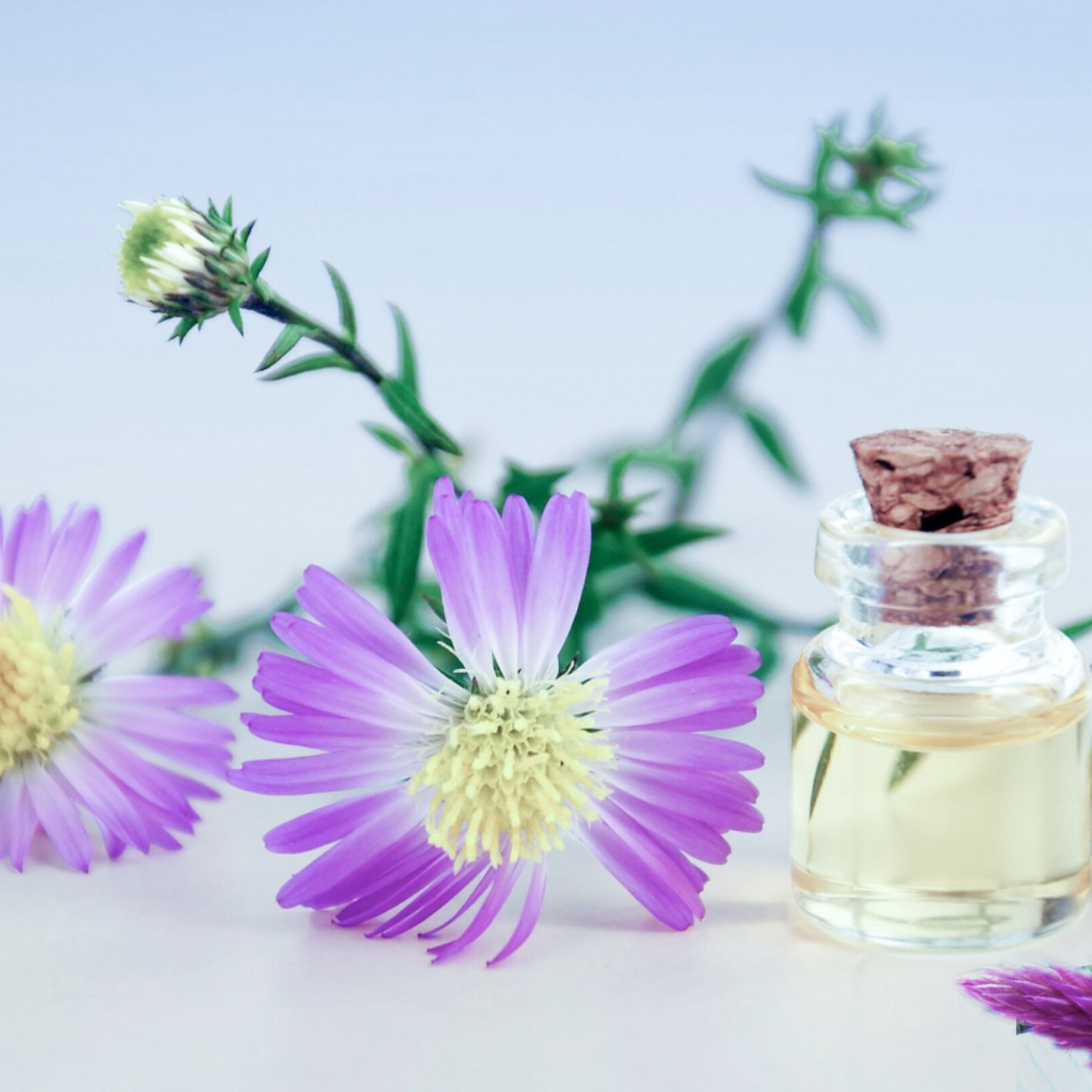 The Benefits and Risks of Essential Oils