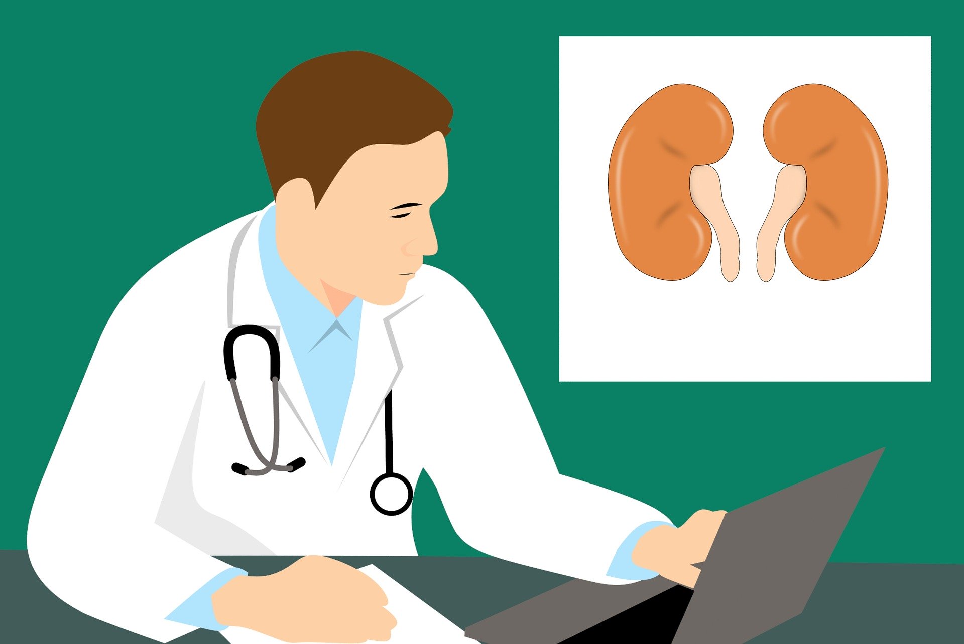 Tips to keep your kidneys healthy