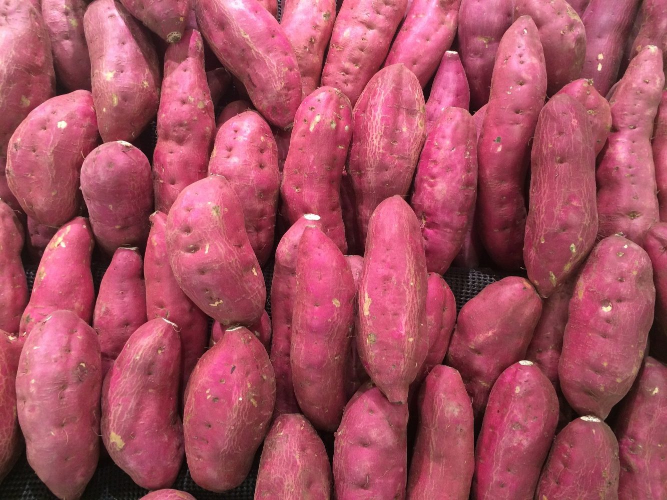 Health benefits of sweet potatoes or ‘kamote’