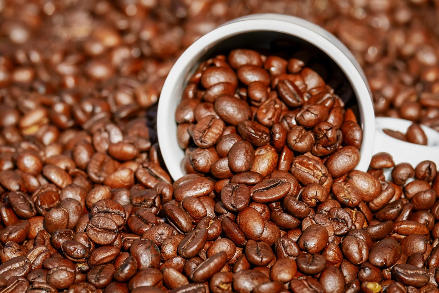 Benefits and risks of coffee