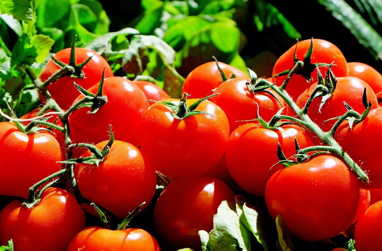 Health benefits of tomato