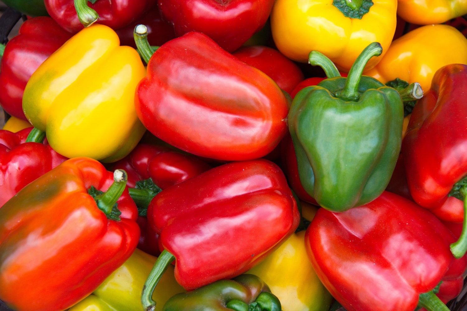 Health Benefits of Bell Pepper