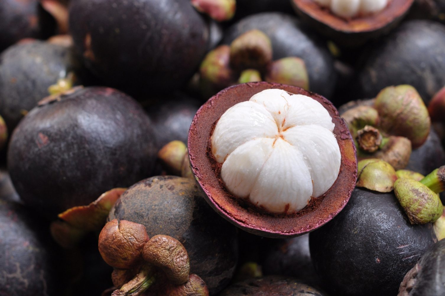 Health Benefits of Mangosteen