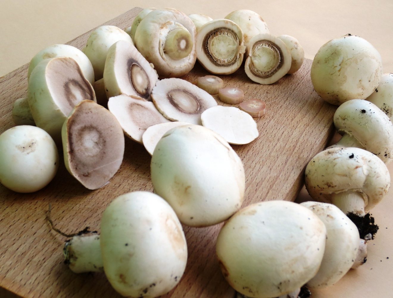 Health Benefits of Mushroom