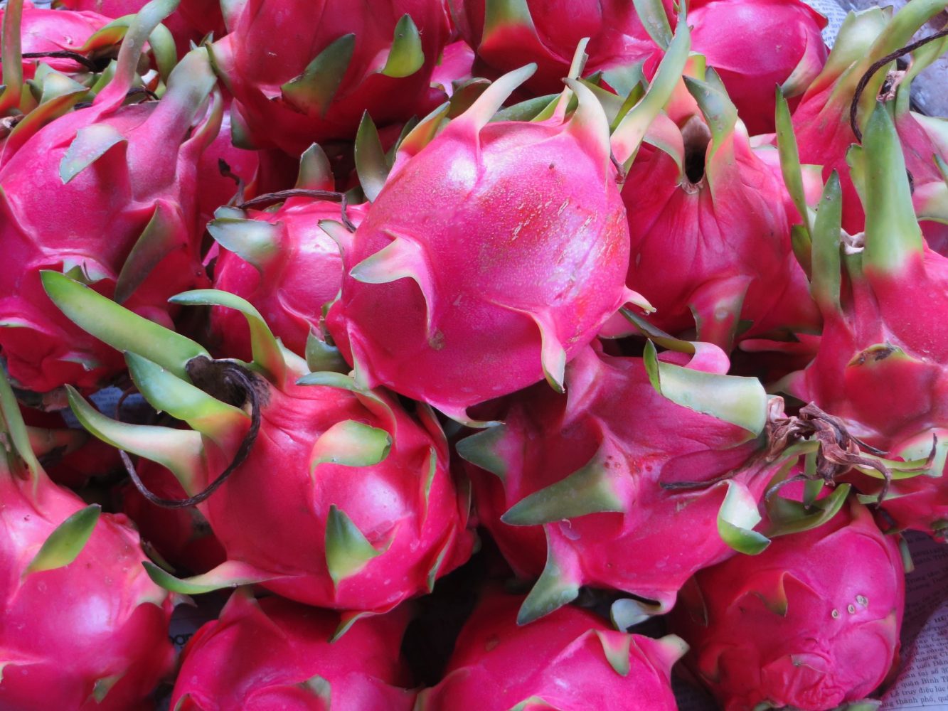 health-benefits-of-dragon-fruit-ang-pinoy