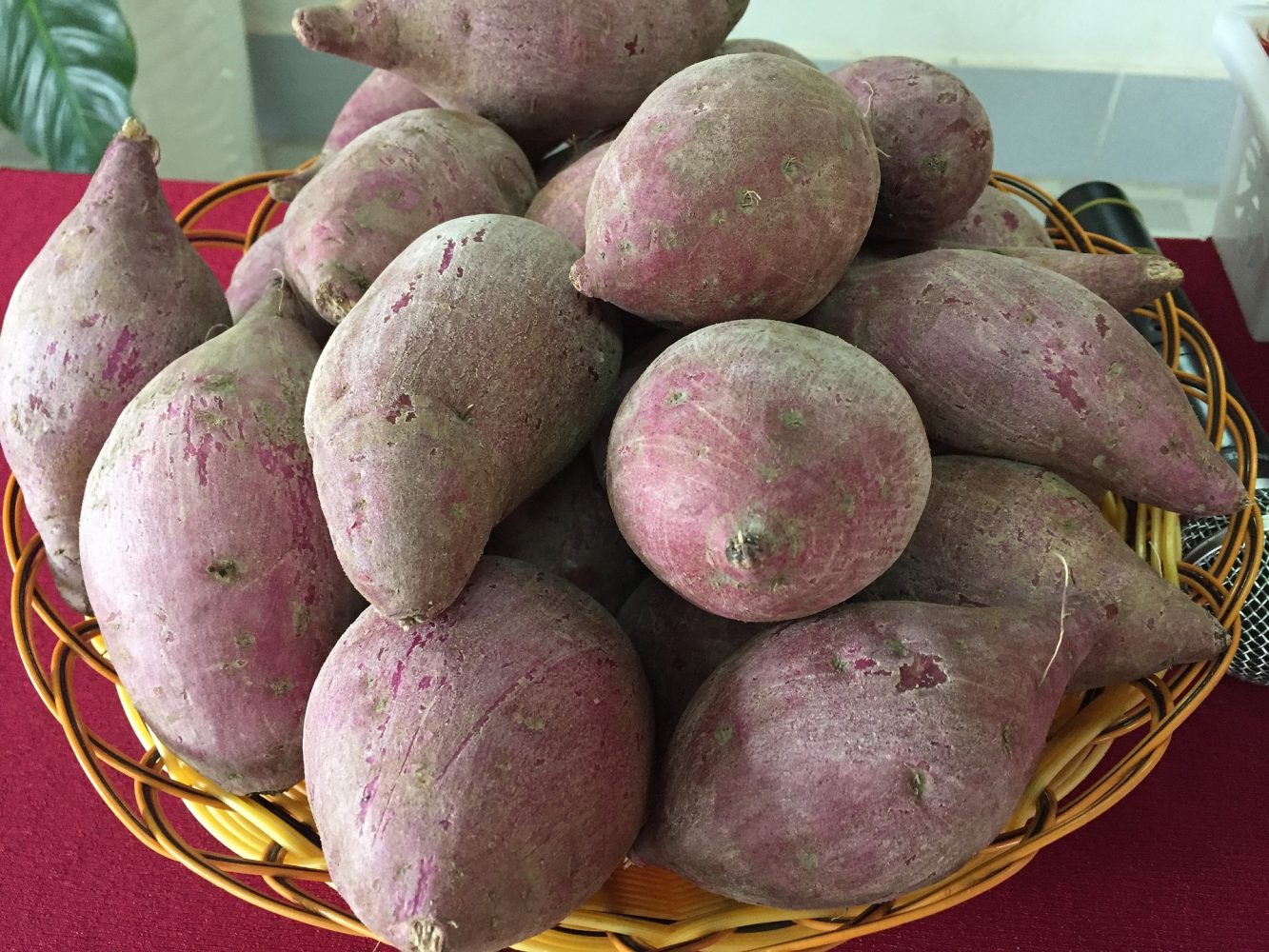 Health Benefits of Sweet Potato