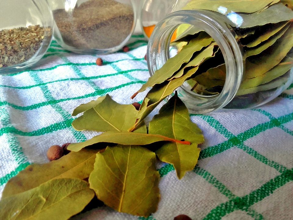 Health Benefits Of Bay Leaf Ang Pinoy   Health Benefits Of Bay Leaf 3 960x720 