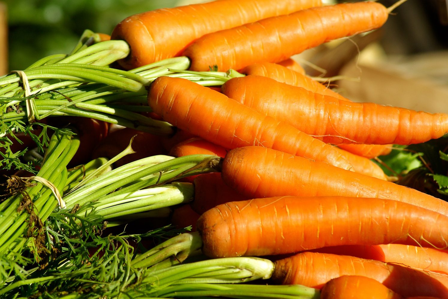 Health Benefits of Carrot