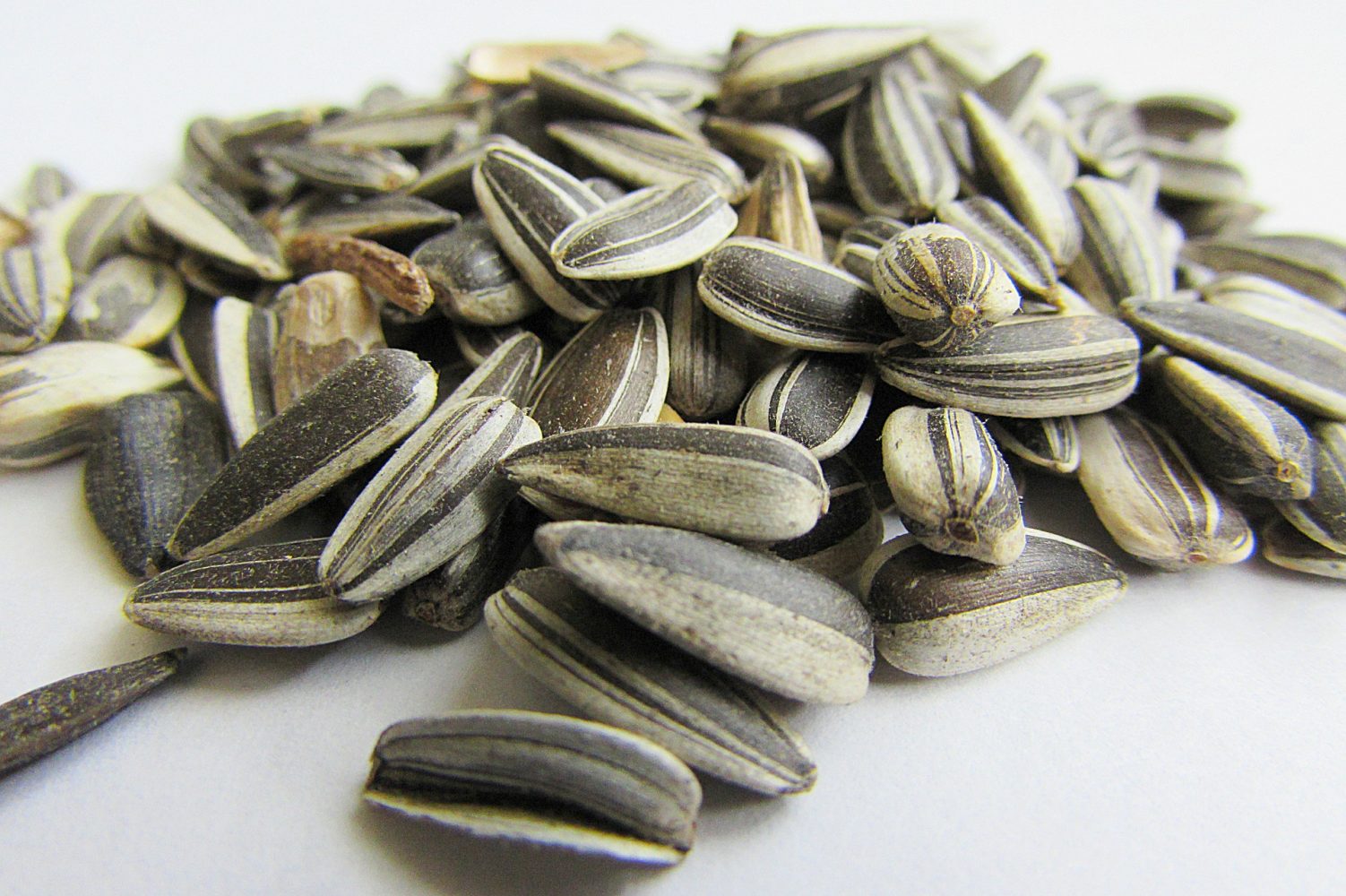 Health Benefits of Sunflower Seeds