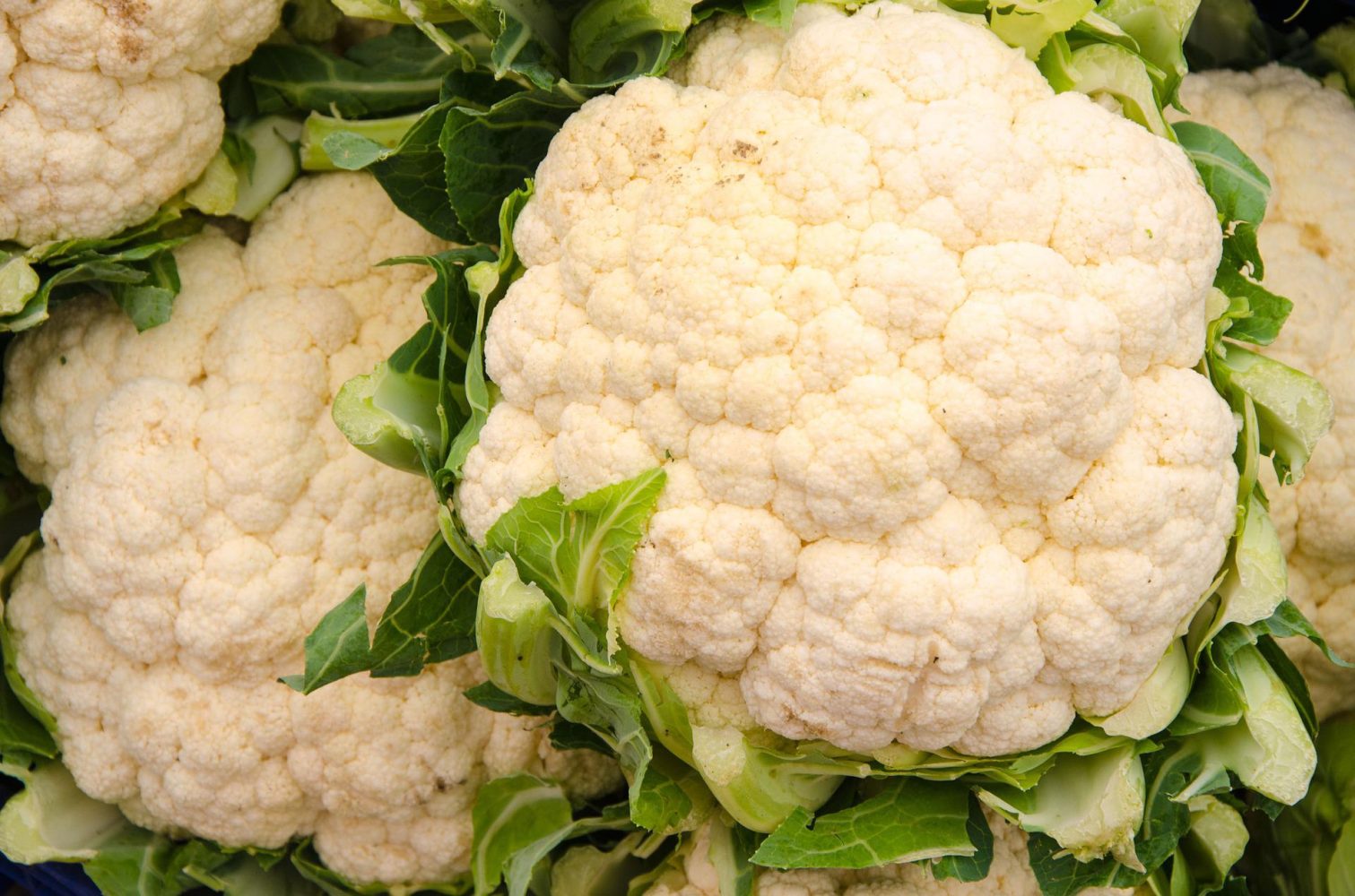 Health Benefits of Cauliflower