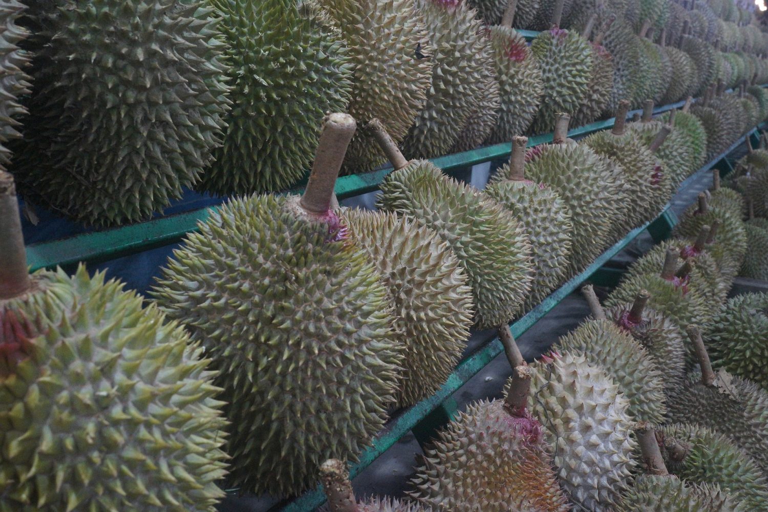 Health Benefits of Durian